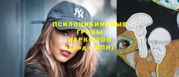 соль ск Новоульяновск