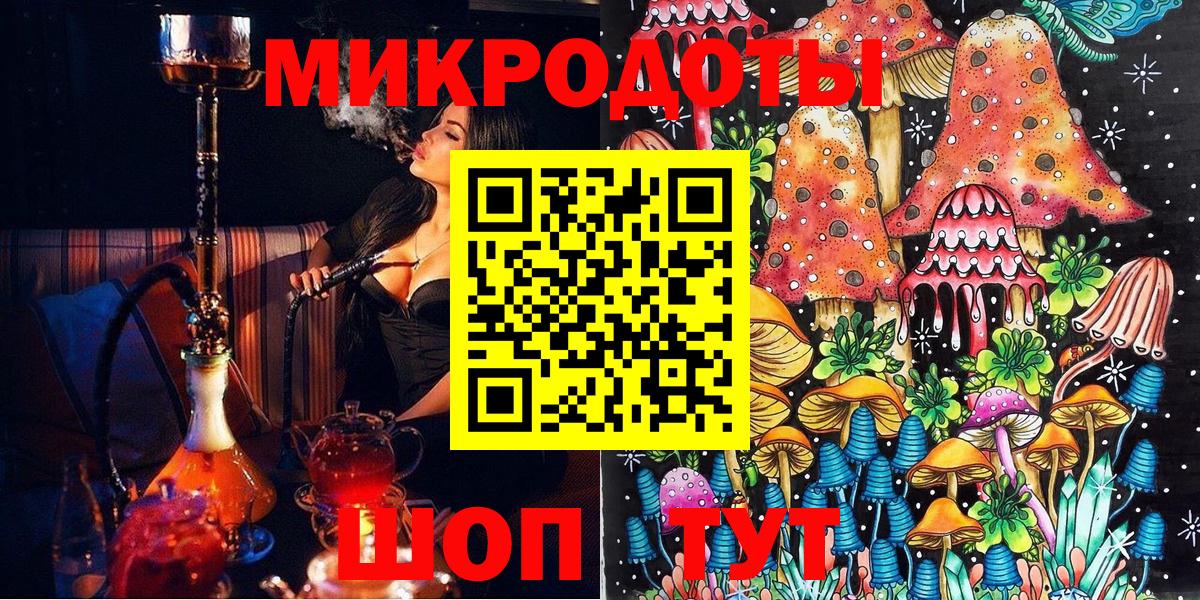 Находка  Галлюциногенные грибы Psilocybe  Вход с VPN 